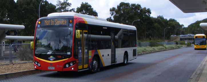 Adelaide Metro Scania K280UB Custom CB80 1560